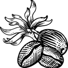cropped-favicon.png